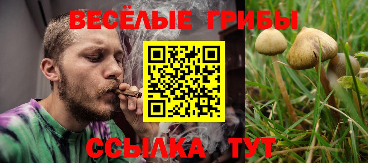 Галлюциногенные грибы Magic Shrooms Анжеро-Судженск